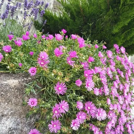 Villa Stancija Smokovo 1873 *