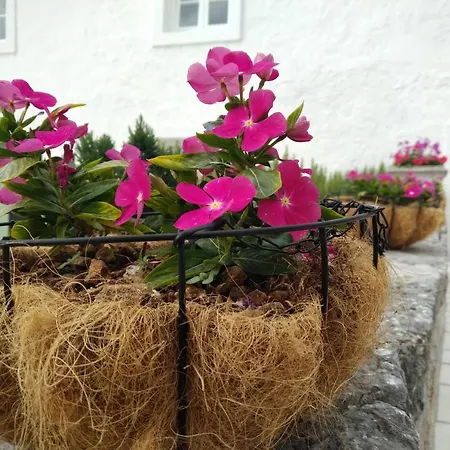 Stancija Smokovo 1873 Jadranovo